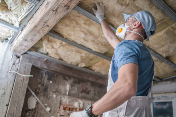 Insulation Inspection Services in Kaysville, UT